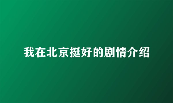 我在北京挺好的剧情介绍