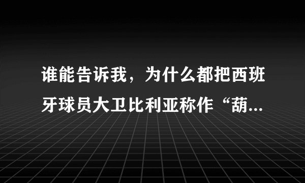谁能告诉我，为什么都把西班牙球员大卫比利亚称作“葫芦娃”呢?
