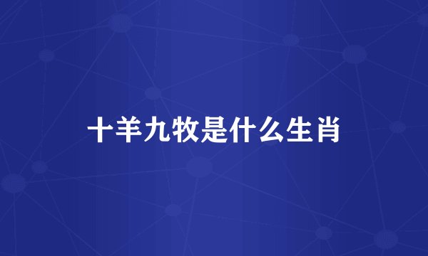 十羊九牧是什么生肖