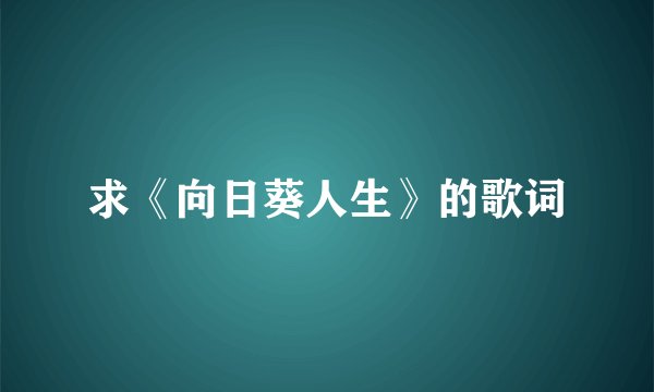 求《向日葵人生》的歌词