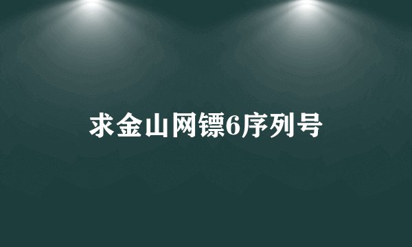 求金山网镖6序列号