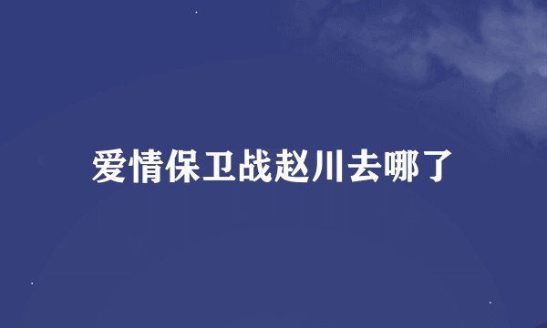 爱情保卫战赵川去哪了