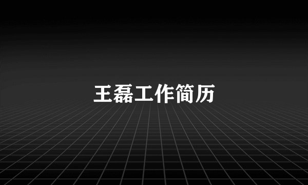 王磊工作简历