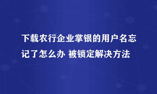 下载农行企业掌银的用户名忘记了怎么办 被锁定解决方法