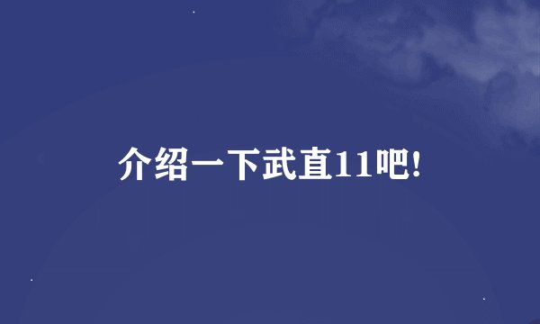 介绍一下武直11吧!