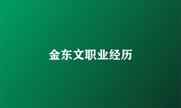 金东文职业经历