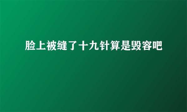 脸上被缝了十九针算是毁容吧