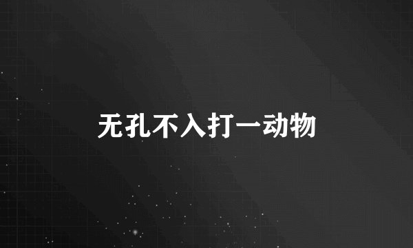 无孔不入打一动物