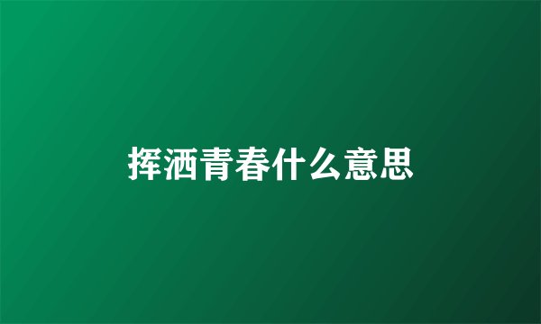 挥洒青春什么意思