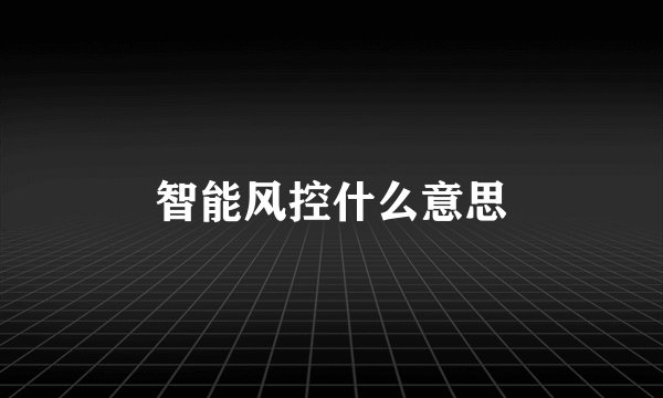 智能风控什么意思