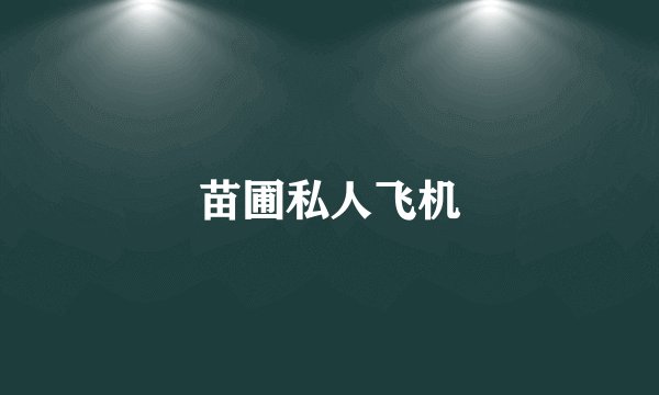 苗圃私人飞机