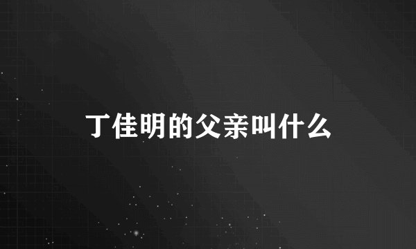丁佳明的父亲叫什么