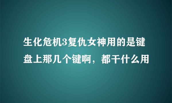 生化危机3复仇女神用的是键盘上那几个键啊，都干什么用