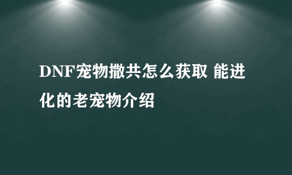 DNF宠物撒共怎么获取 能进化的老宠物介绍