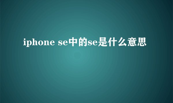 iphone se中的se是什么意思