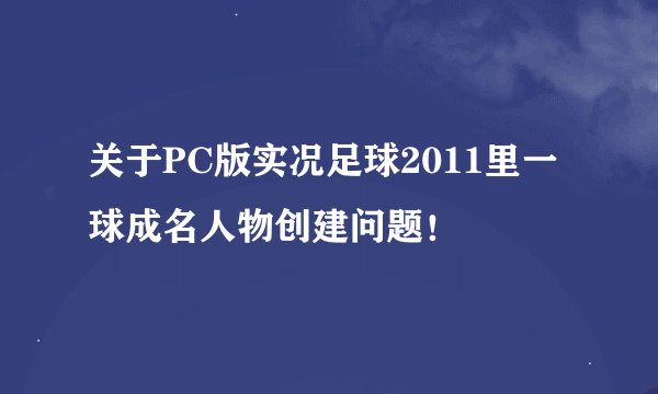 关于PC版实况足球2011里一球成名人物创建问题！