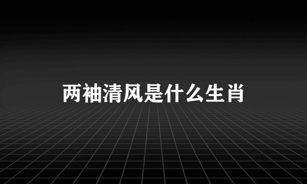 两袖清风是什么生肖