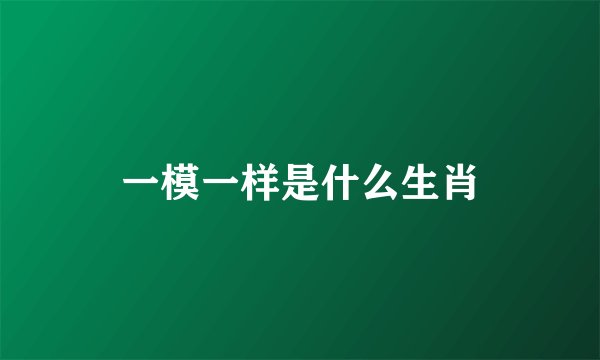 一模一样是什么生肖