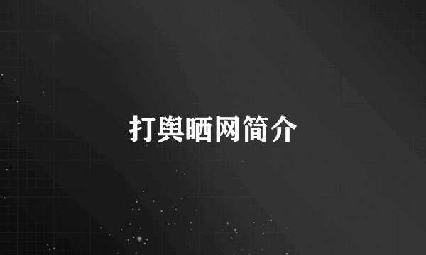 打舆晒网简介