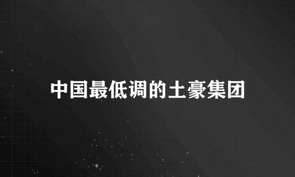 中国最低调的土豪集团