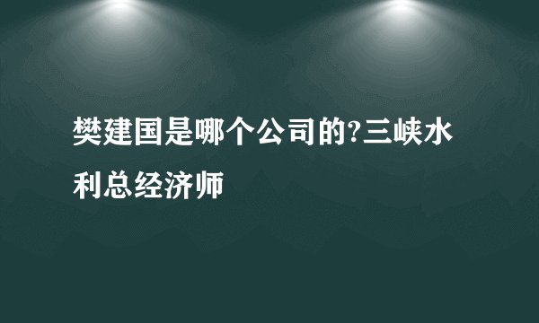 樊建国是哪个公司的?三峡水利总经济师