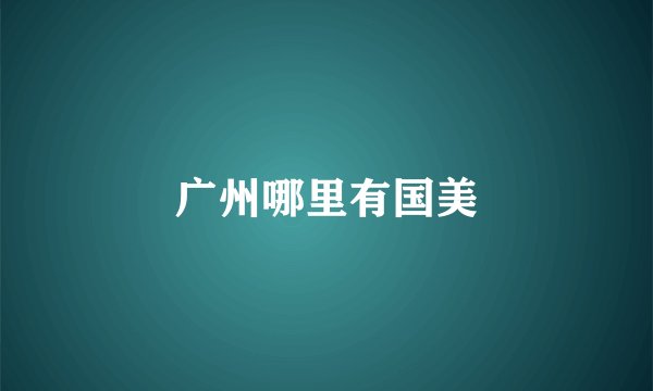 广州哪里有国美