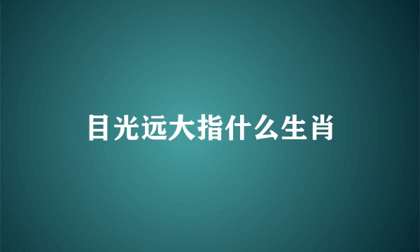 目光远大指什么生肖