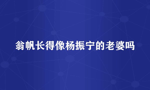 翁帆长得像杨振宁的老婆吗