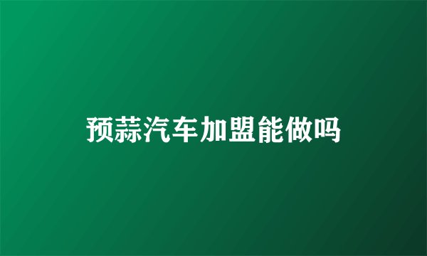 预蒜汽车加盟能做吗