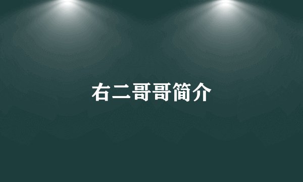 右二哥哥简介