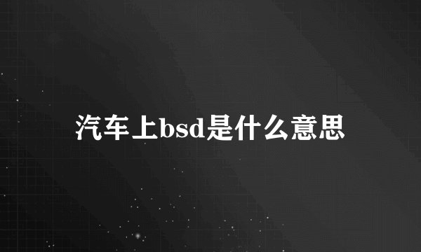 汽车上bsd是什么意思