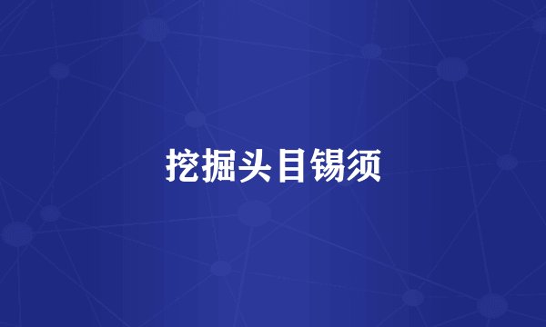 挖掘头目锡须