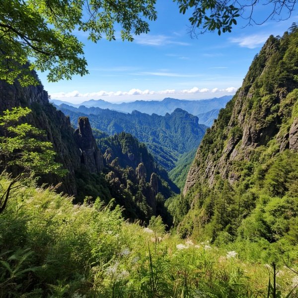 神农架林区是什么级别?