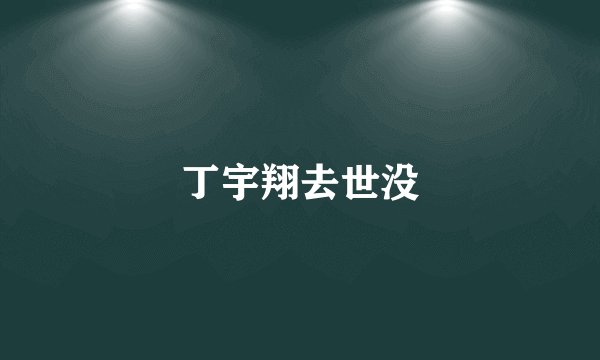 丁宇翔去世没