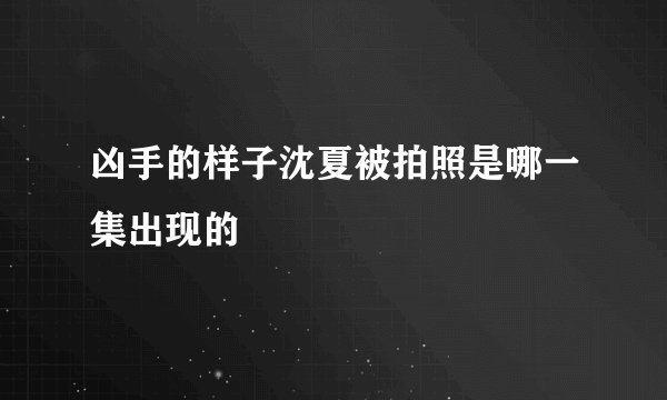 凶手的样子沈夏被拍照是哪一集出现的