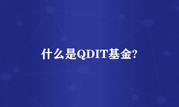 什么是QDIT基金?