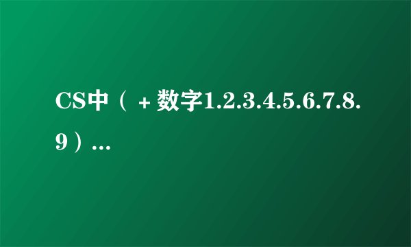 CS中（＋数字1.2.3.4.5.6.7.8.9）各是干什么的 尤其是＋8.9后的1.2.3........是干什么的