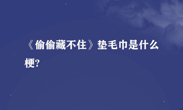《偷偷藏不住》垫毛巾是什么梗?