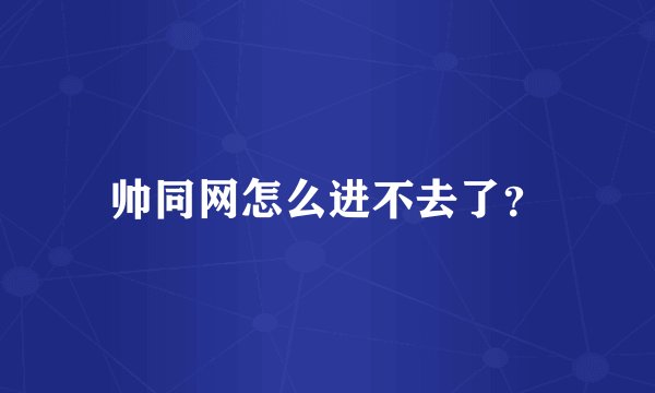 帅同网怎么进不去了?