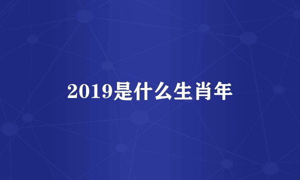 2019是什么生肖年