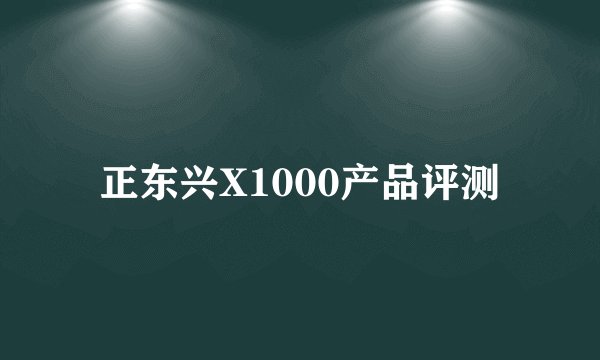 正东兴X1000产品评测
