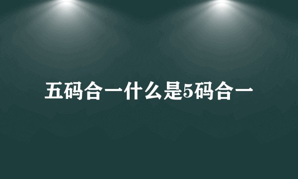 五码合一什么是5码合一