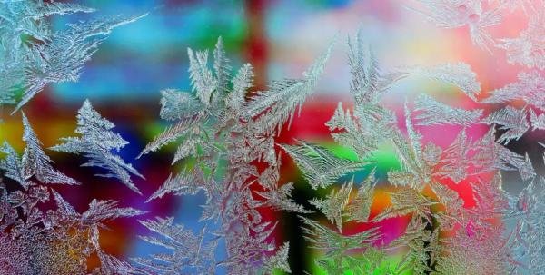 东北冰窗花快速形成
