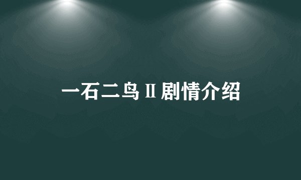 一石二鸟Ⅱ剧情介绍