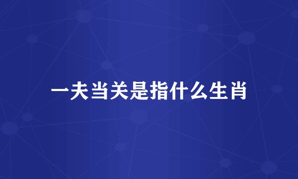 一夫当关是指什么生肖