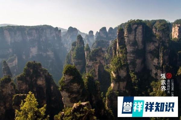 疫情过后想去张家界，张家界可以去旅游了吗？