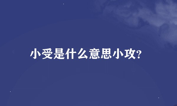 小受是什么意思小攻？