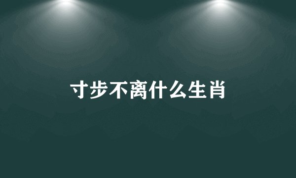 寸步不离什么生肖