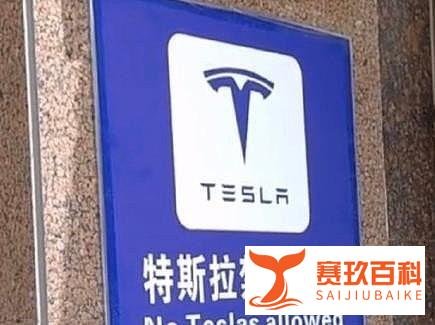 不能进入政要机构？为什么特斯拉总是被针对？