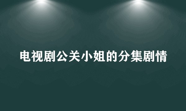 电视剧公关小姐的分集剧情